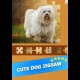 Buy Puppy Dog: Jigsaw Puzzles CD Key and Compare Prices 