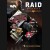 Buy RAID: World War II (Special Edition) (Uncut) CD Key and Compare Prices 