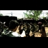 Buy Resident Evil 5 CD Key and Compare Prices