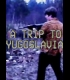Buy A Trip to Yugoslavia Director's Cut CD Key and Compare Prices 