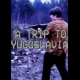 Buy A Trip to Yugoslavia Director's Cut CD Key and Compare Prices 
