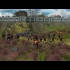 Buy The Settlers: Heritage of Kings CD Key and Compare Prices