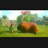 Buy Yonder: The Cloud Catcher Chronicles PC/XBOX LIVE CD Key and Compare Prices